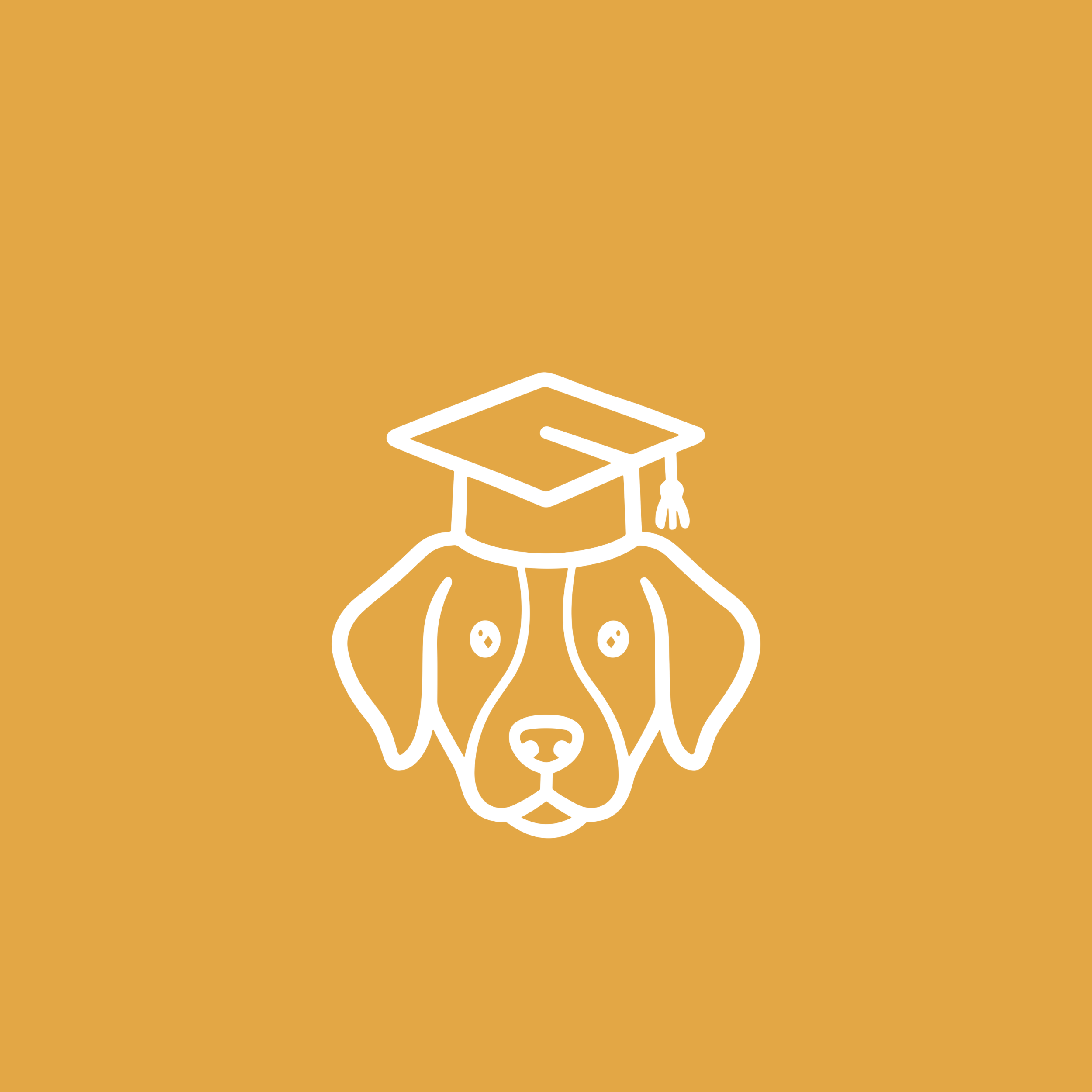 Graduation / handover day